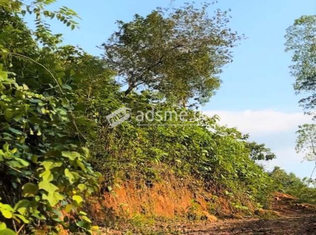 06 Acres of Land for Sale at Avissawella, Near the Kumari ella.