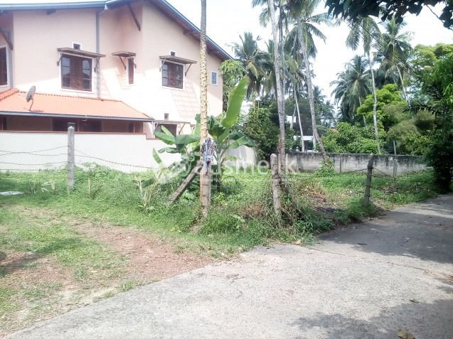 10p thalawatugoda land for sale