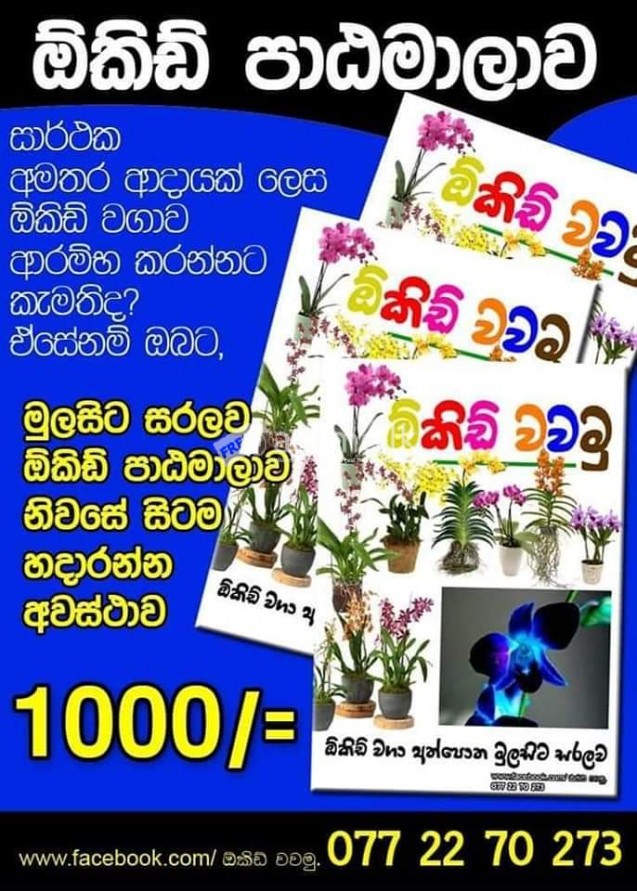 Orchid පැල