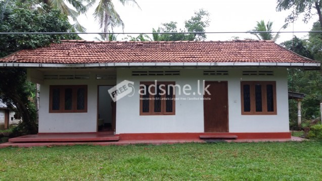 Coconut Land with 4 Bed room house in Divulapiyiya