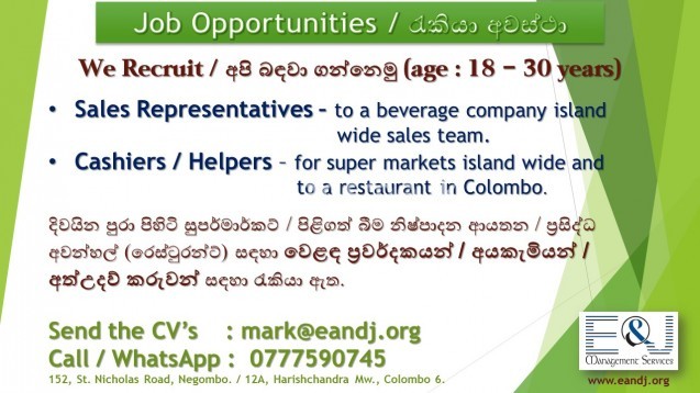 Sales Representative