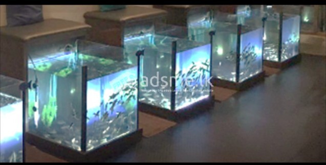 Fish spa chair and tank