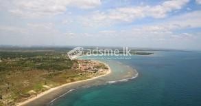 wakari beach land for sale ( 50 acrs)