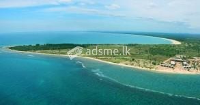 wakari beach land for sale ( 50 acrs)