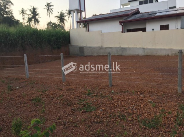 Land For Sale