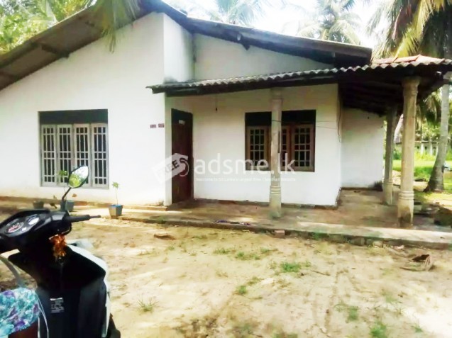 සෙල්ලකතරගම නිවසත් සමග අක්කරයක ඉඩම ඉක්මනින් විකිණීමට