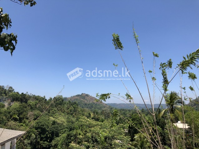 land for sale in pilimathalawa