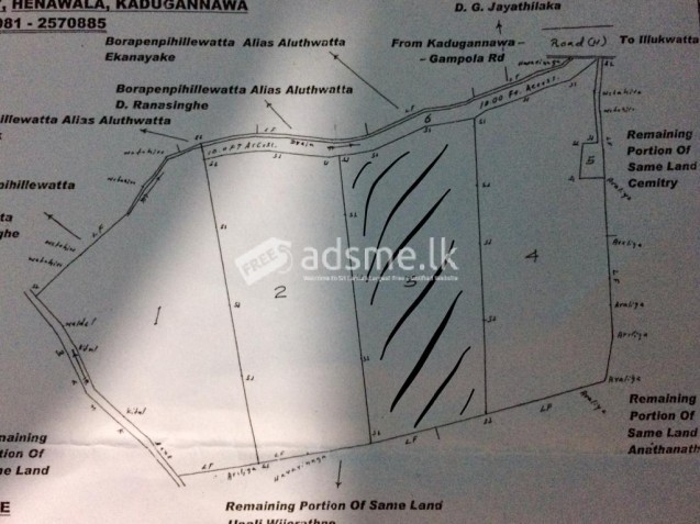 land for sale in pilimathalawa