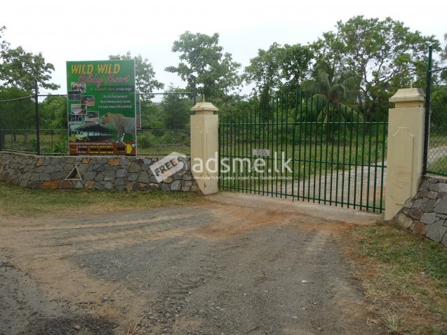 Holiday Resort at Kataragama