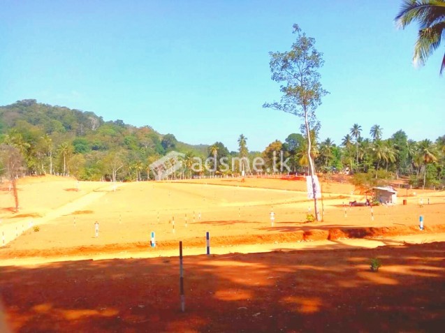 Land for Sale In alawwa