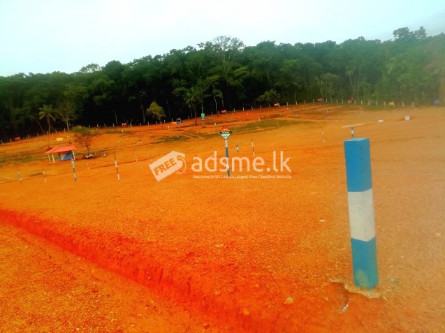 Land for Sale In alawwa