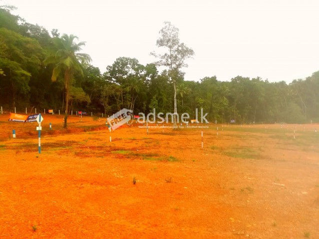 Land for Sale In alawwa