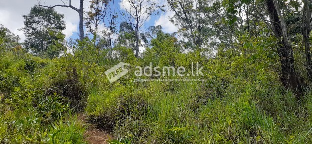 Land for sale