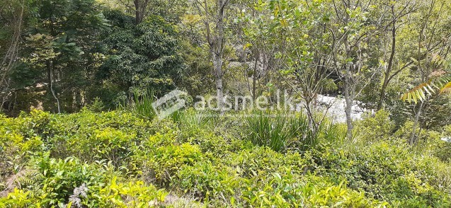 Land for sale
