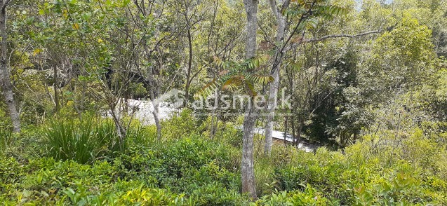 Land for sale