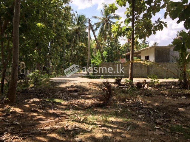 Land for sale Galgamuwa