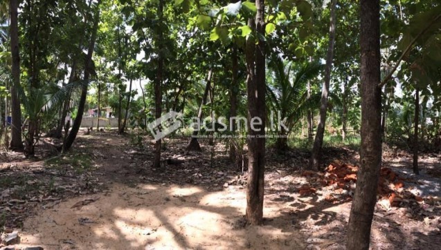 Land for sale Galgamuwa