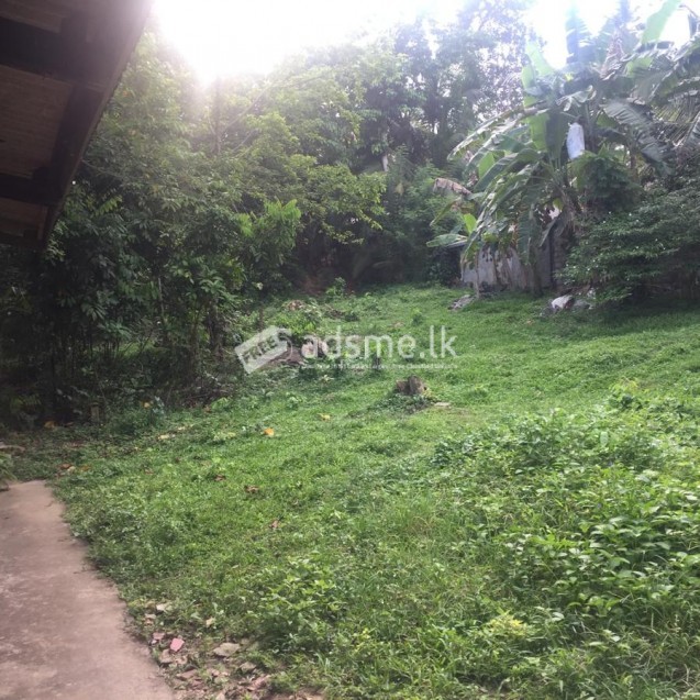 Land for sale Galle, jambukatiya