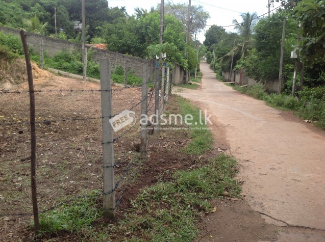 Sale for Panadura - Paratha Dolewatha-Pokuna Road Land