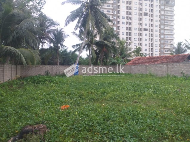 Near to southern expressway entrance land
