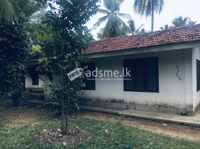 20 Acres Coconut land for sale