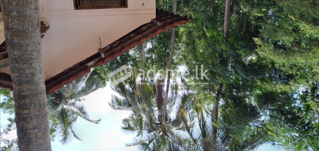 land with house for sale