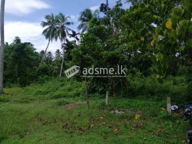 Land for Sale In Katana