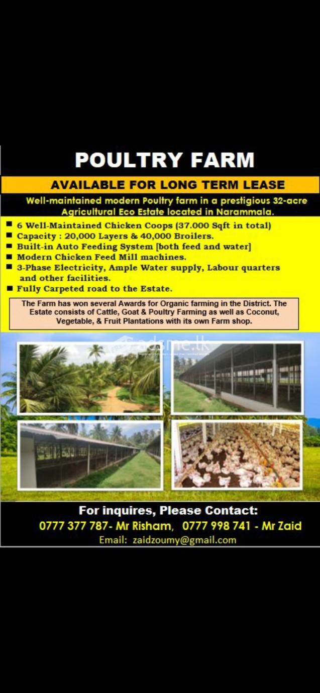 Poultry Farm with coops (cages) for lease