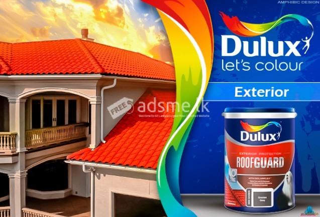 House and Building Painting with Dulux Paint.