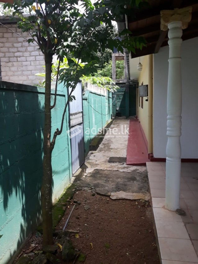 HOUSE AND LAND