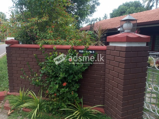 අංග සම්පූර්ණ නිවසක් සමග ඉඩමක් වීකිනීමට ඇත