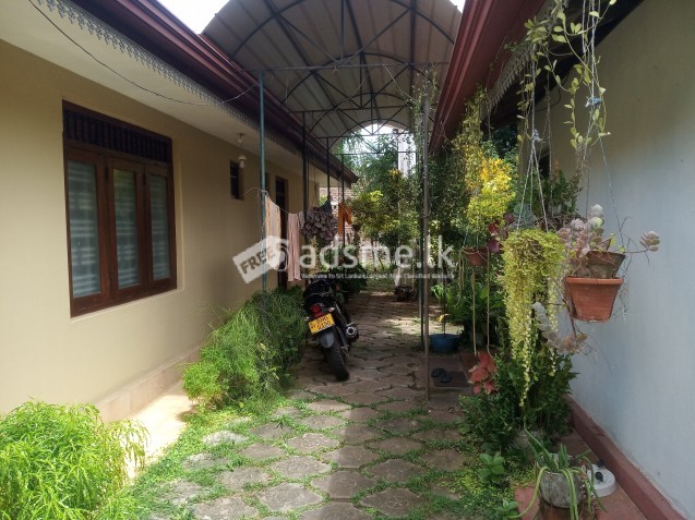 අංග සම්පූර්ණ නිවසක් සමග ඉඩමක් වීකිනීමට ඇත