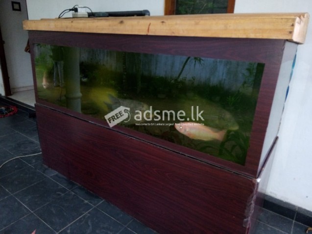 Fish tank