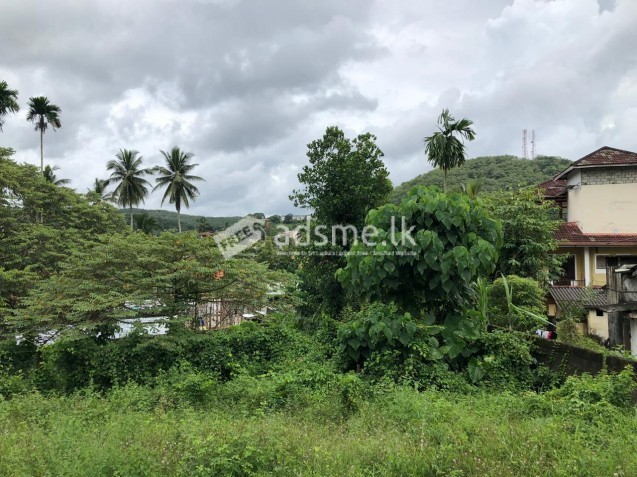 හොරණ නගර මද්‍යයේ  (පොළ පිටුපස) ඇල්බර්ට් පීරිස් මාවතේ ඉඩමක් විකිණීමට
