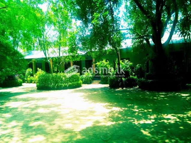 commercial/residential property for sale