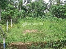 Land For Sale in Bandragama