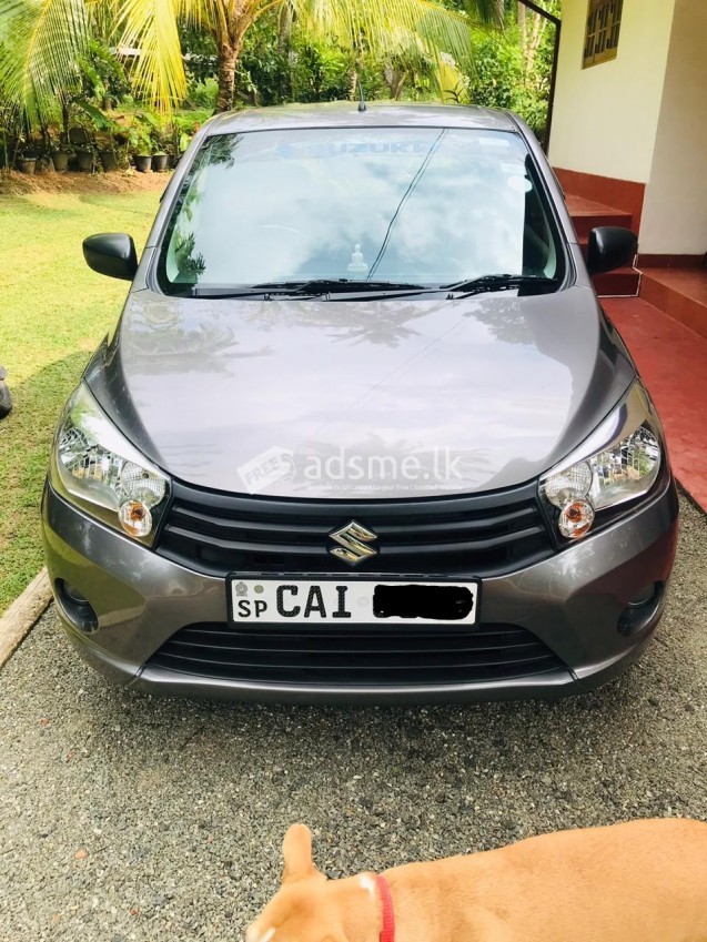 Suzuki Celerio 2015 (Used)