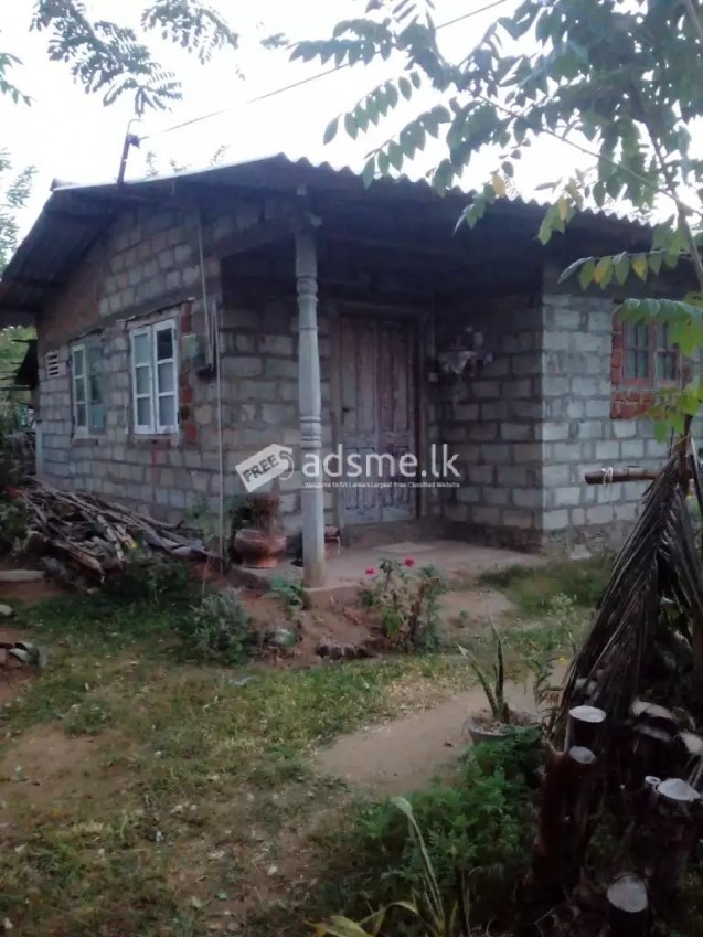 House For Sale In Horana