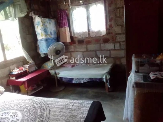 House For Sale In Horana