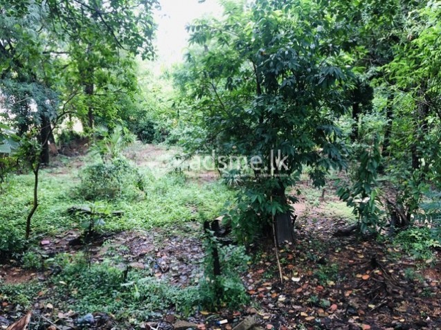 Land for sale