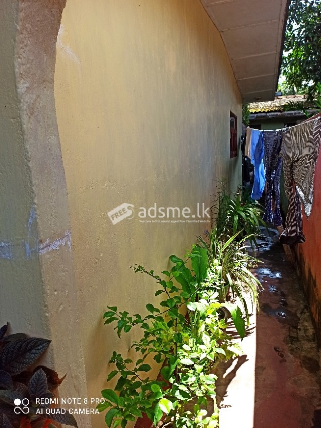 Valuble House and Land For Sale in Katubedda