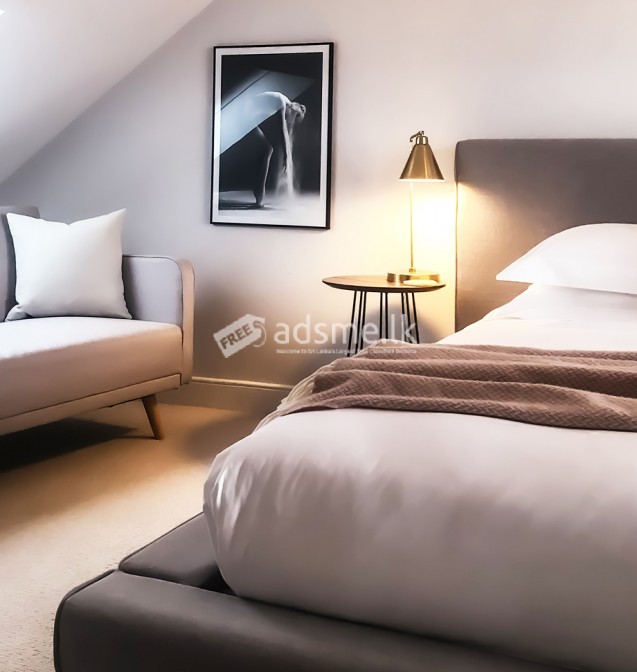 Furnished 3 BHK Apartment for sale in Wellawatte