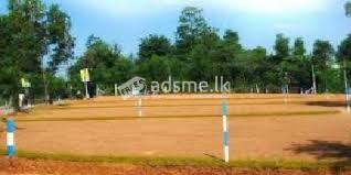 Land for Sale in Walpitagama