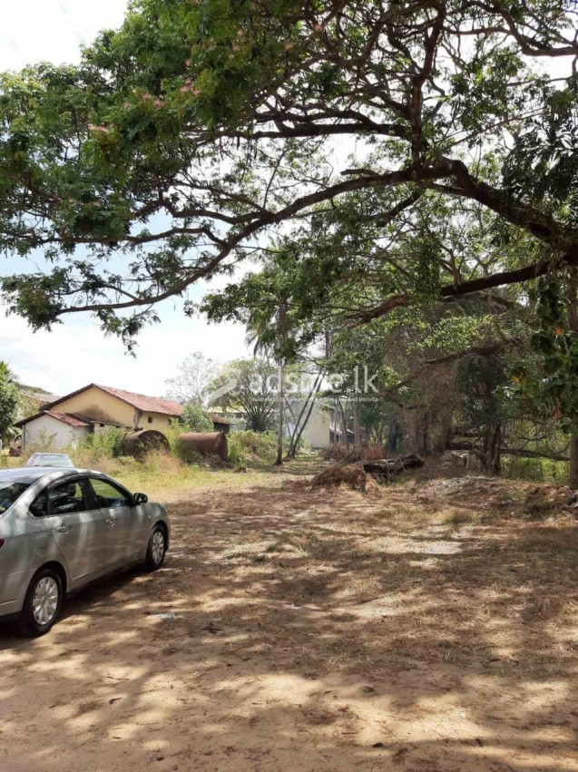 Land for sale near lake in Kobeigane town