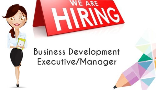 Business Development Executive