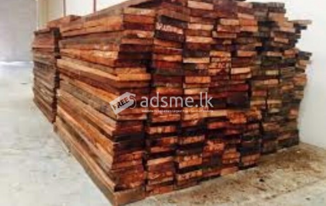 තේක්ක කුඹුක් අඩු මිලට