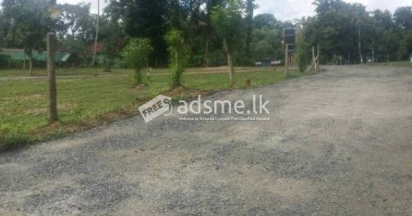 Land For Sale In Beliatta