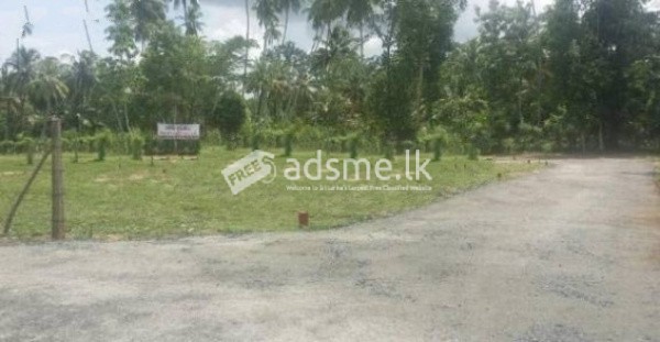 Land For Sale In Beliatta