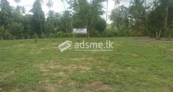 Land For Sale In Beliatta