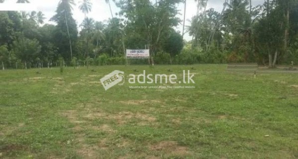 Land For Sale In Beliatta